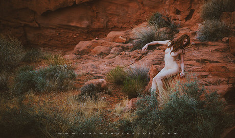 Amber Rose McConnell