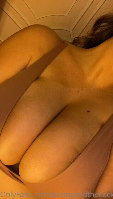 Bunny and the cock