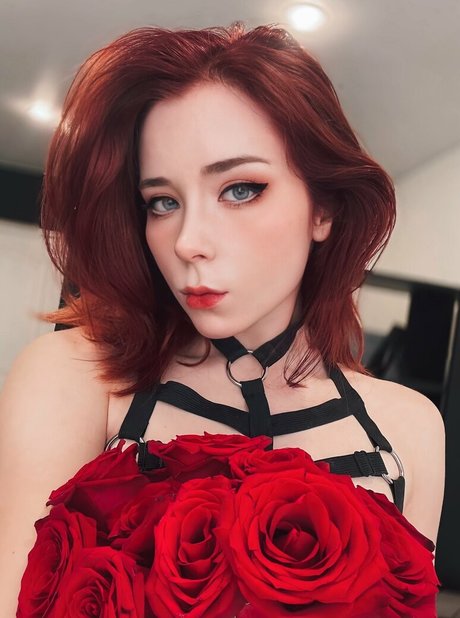 Sweetie Fox