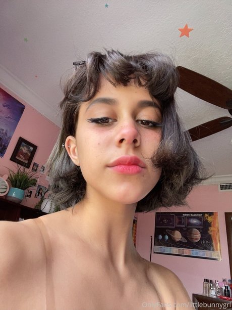 Little Bunny