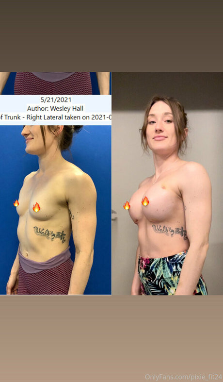 Pixiefit24