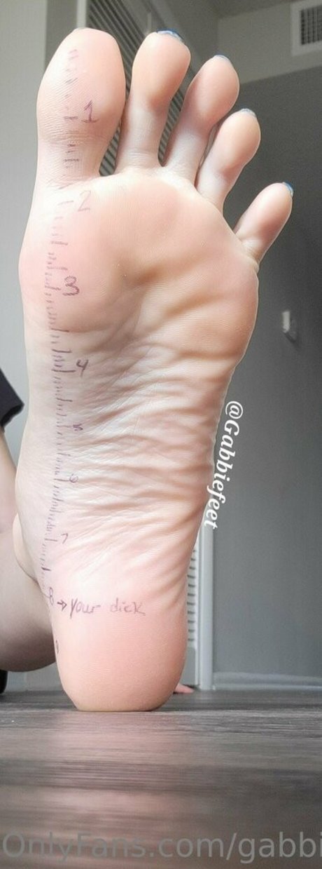 Gabbiefeet
