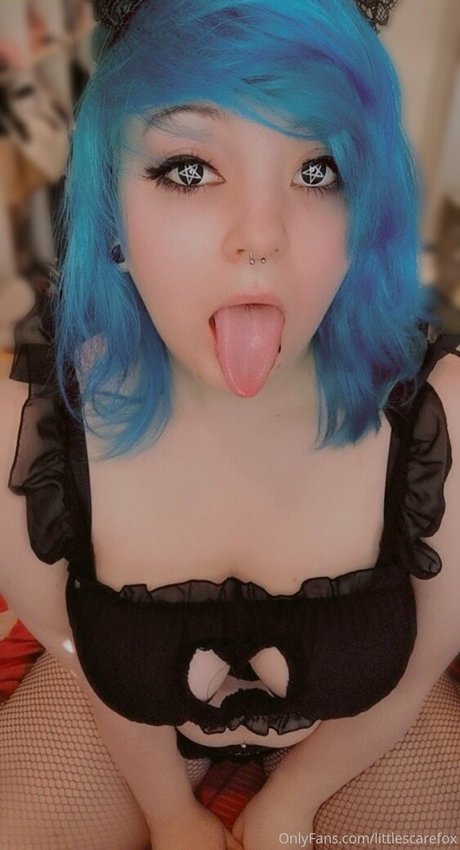 Littlescarefox