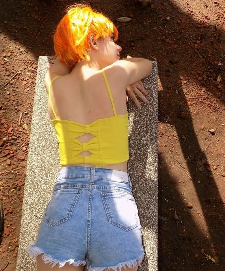 Sollchiss