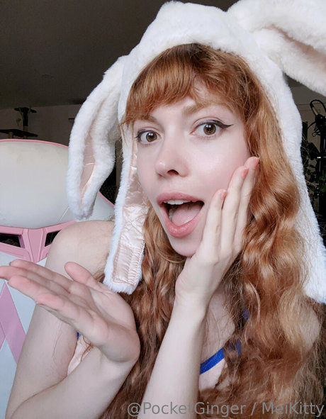 Pocketginger