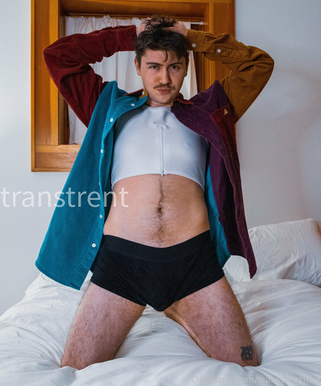 Transtrentfree