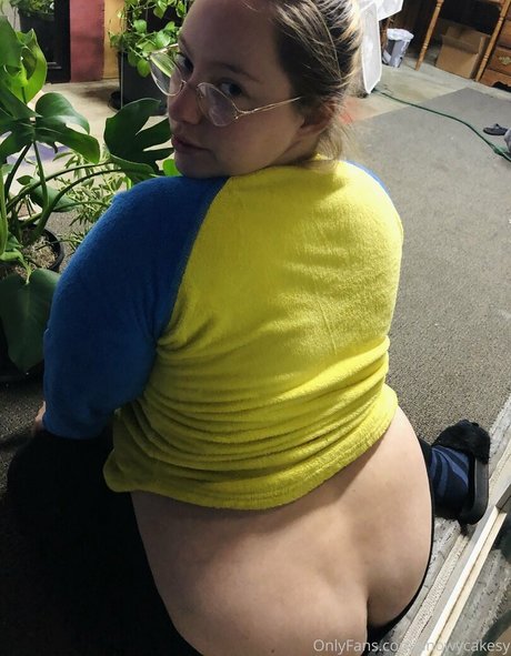 Snowycakesy