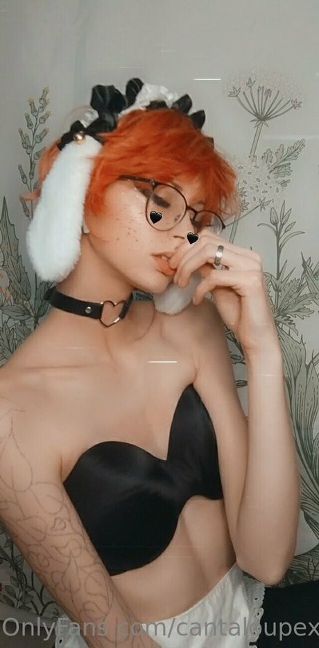Cantaloupexo