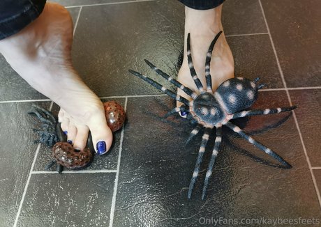 Kaybeesfeets