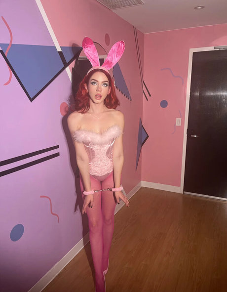 Haleysvision