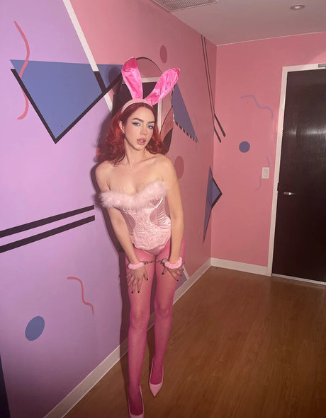 Haleysvision