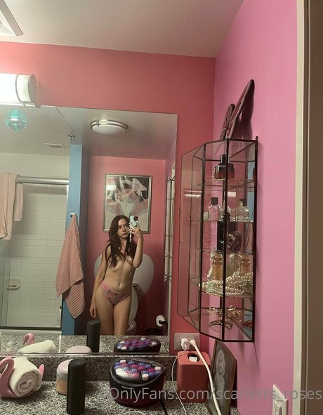 Haleysvision