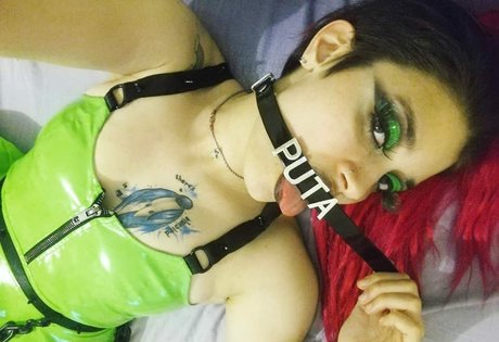 Niniah Wolfy