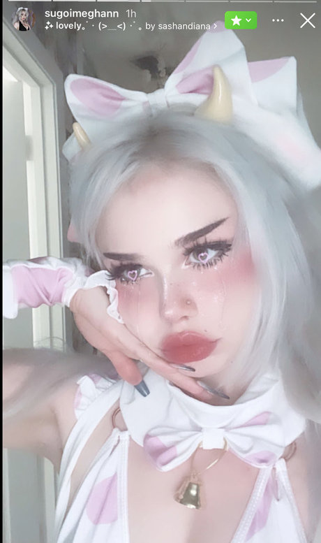Sugoimeg Megwaifu