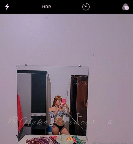 Nekoprincess