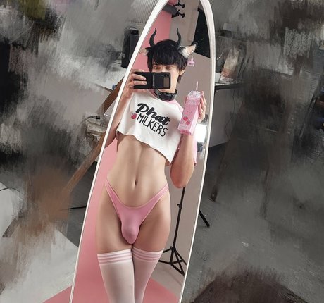 Shunsukecos