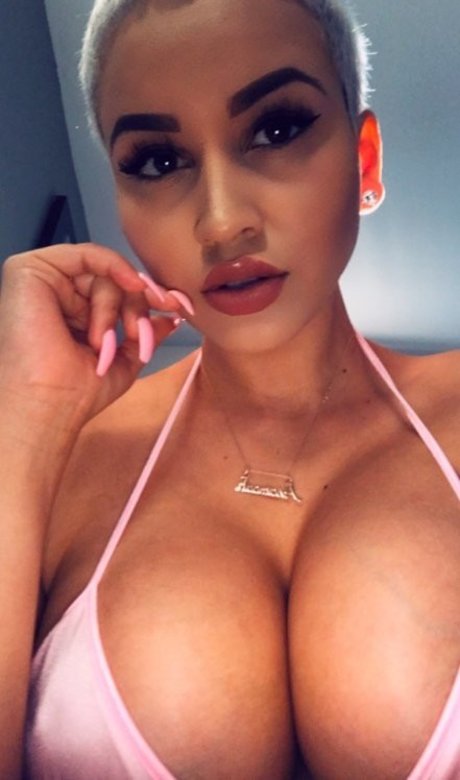 Stephmurves