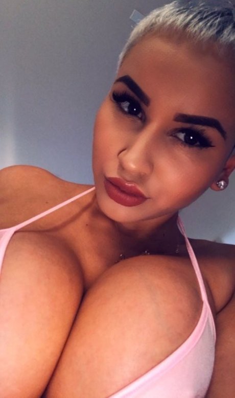 Stephmurves