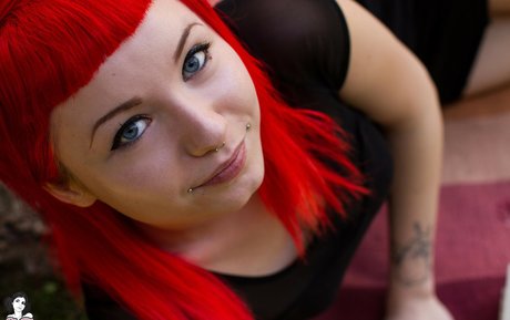 Bae Suicide