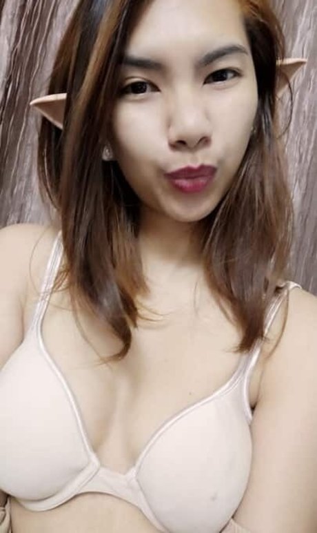 Fei Leng
