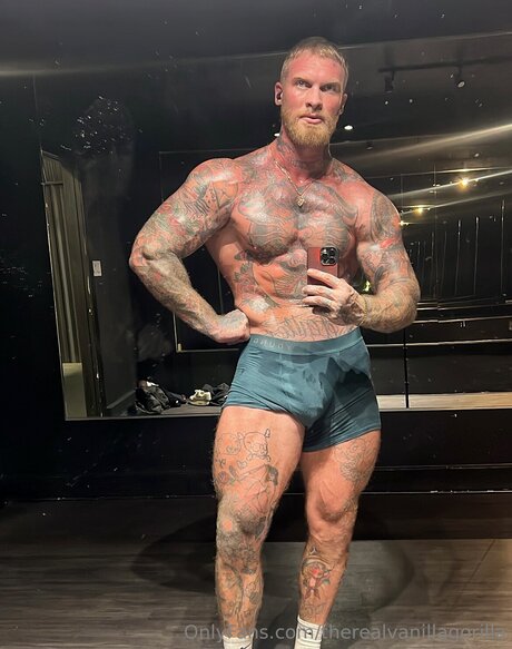 Therealvanillagorilla