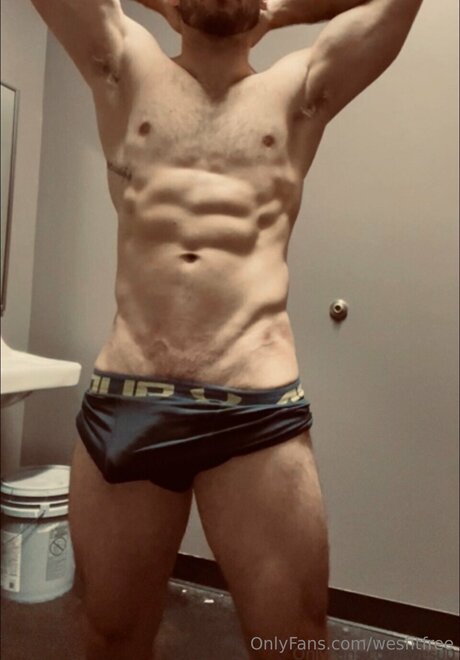 Wesfitfree