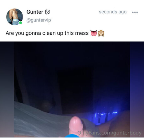 Gunterbody