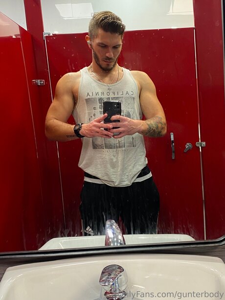 Gunterbody