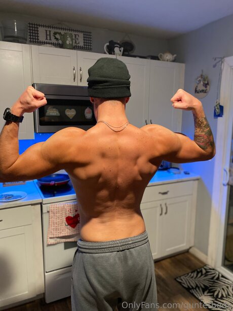 Gunterbody