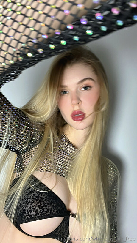 Where Is Lily Free