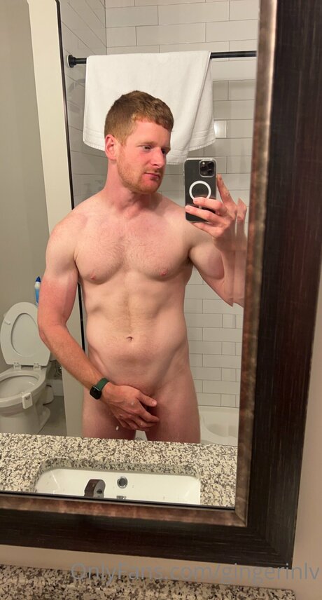 Gingerinlv