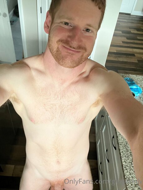 Gingerinlv