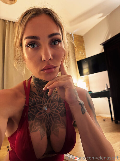 Elenascrib