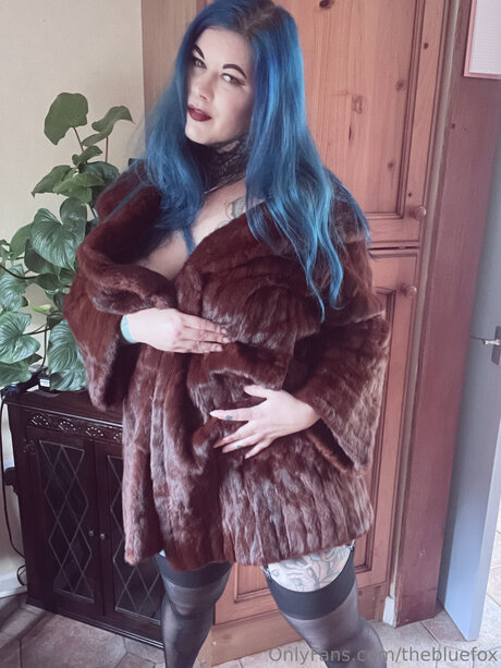 Thebluefox