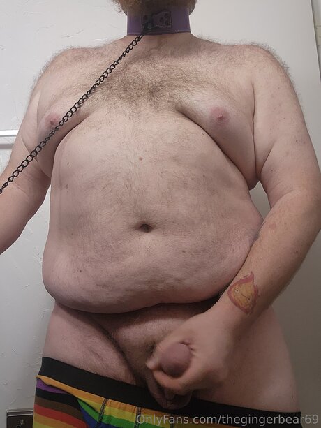 Thegingerbear69