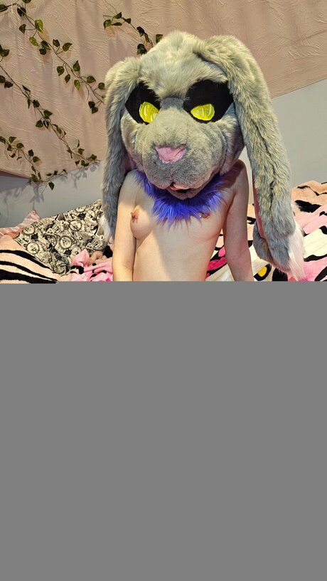 Oliverthewabbit