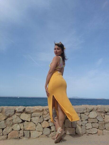 Anto Mey