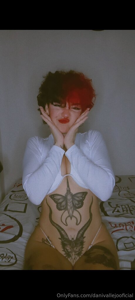 Danivallejooficial