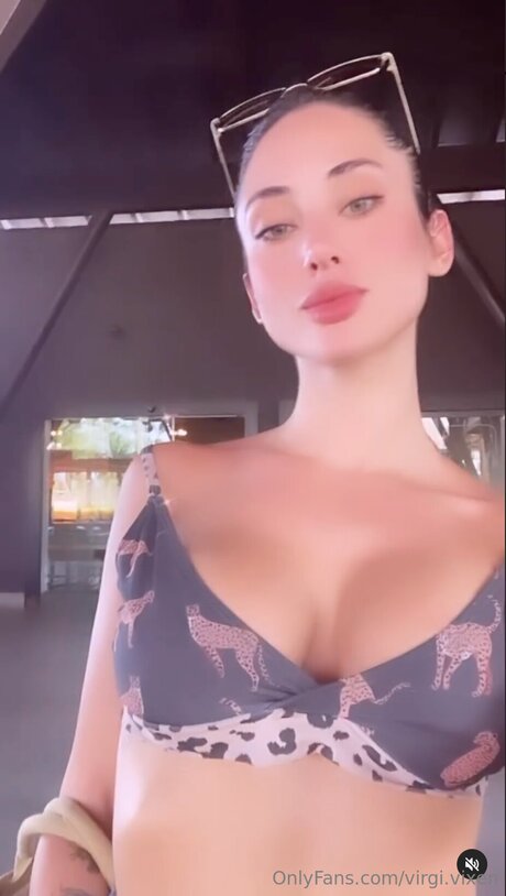 Virgi Vixen