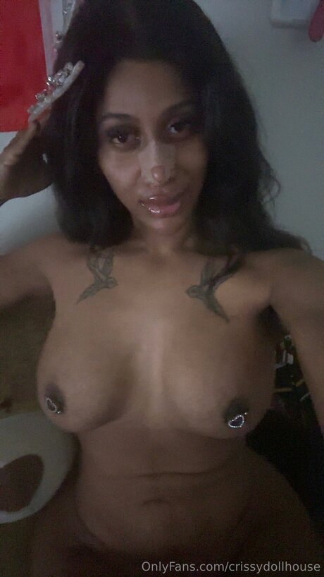 Crissydollhouse
