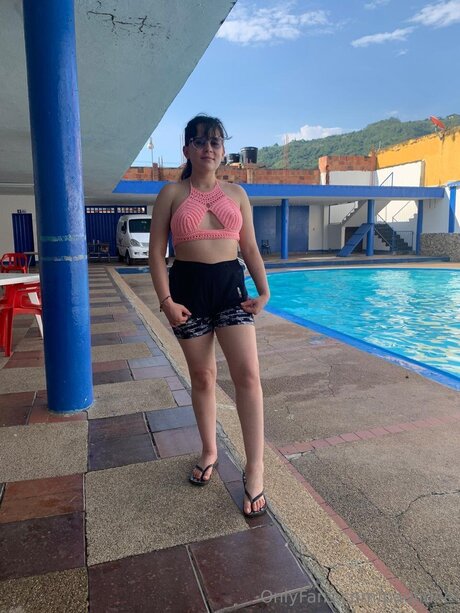 Paulidee