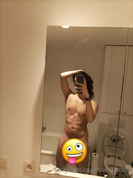 Danwilddck