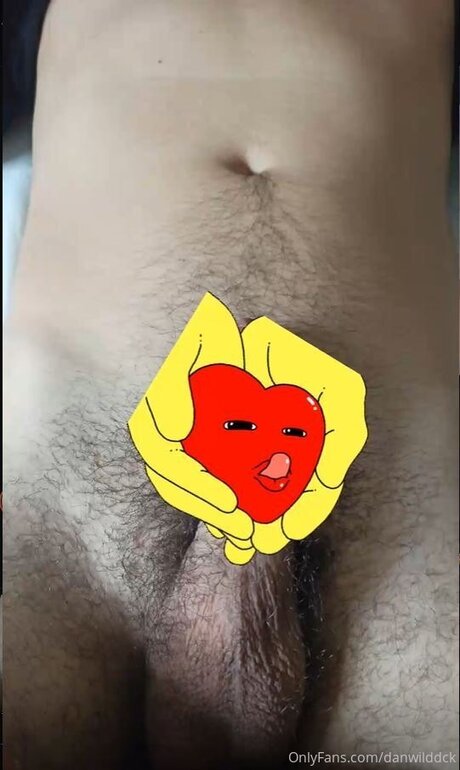 Danwilddck