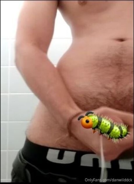 Danwilddck