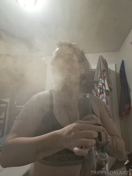 Trippykoala425