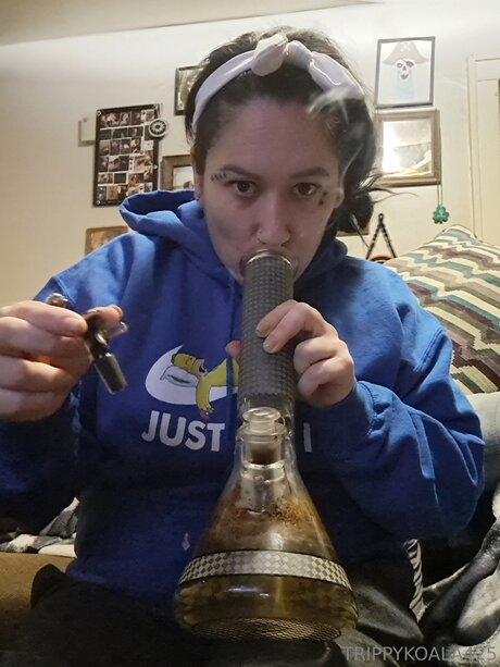 Trippykoala425