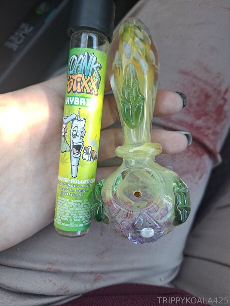 Trippykoala425