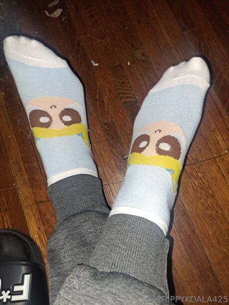 Trippykoala425