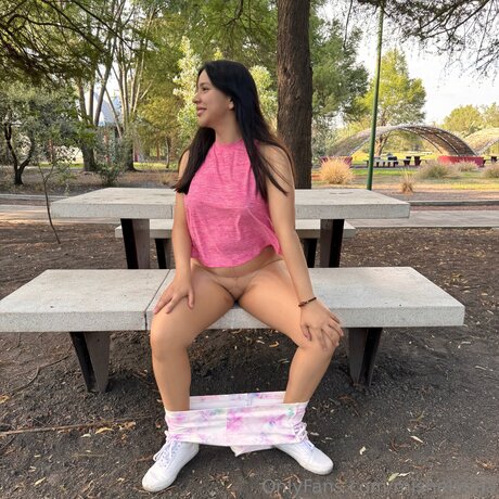 Mishelvega