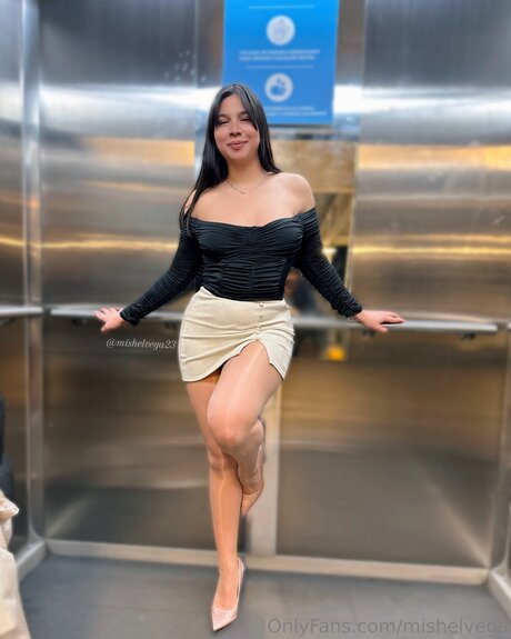 Mishelvega